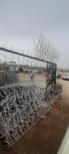 عکس حفاظ آکاردئونی ماهان 