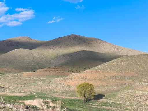 عکس الیگودرز