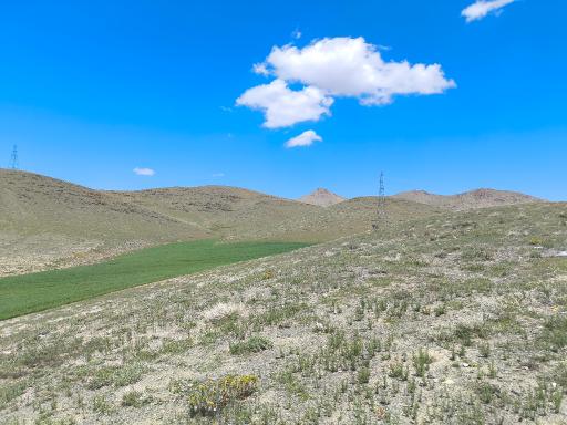 عکس الیگودرز