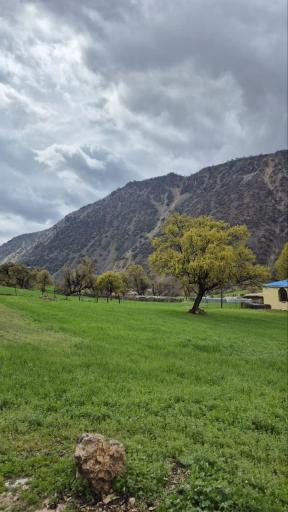 عکس الیگودرز