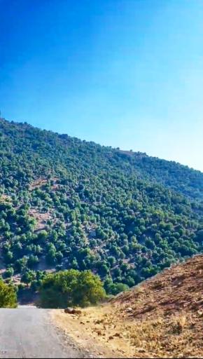 عکس الیگودرز