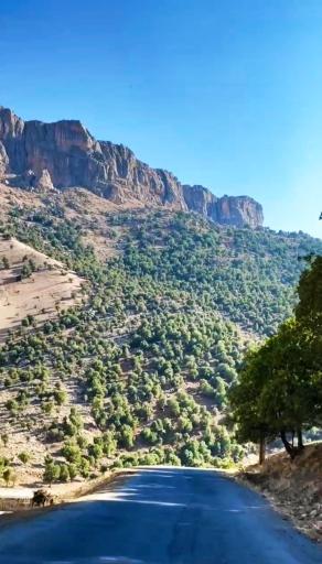 عکس الیگودرز