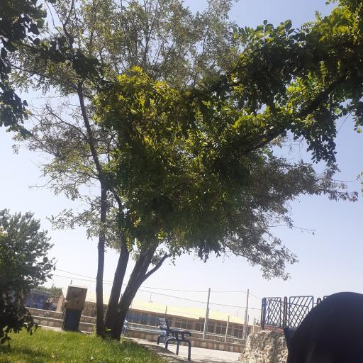 عکس الیگودرز