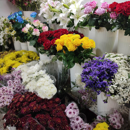 عکس کلبه گل یاس