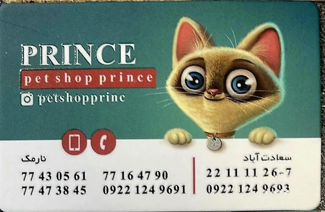 عکس پت شاپ پرنس