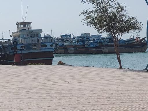 عکس بندر دیلم