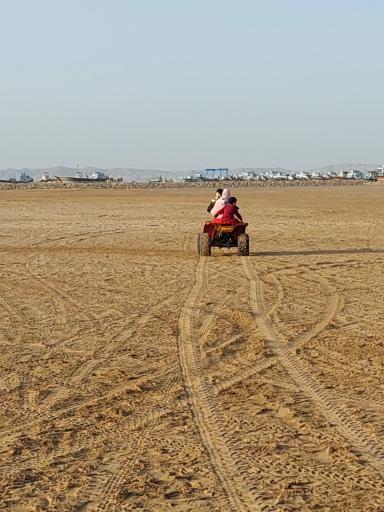 عکس بندر دیلم