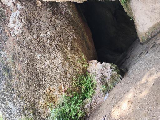 عکس دره دورک