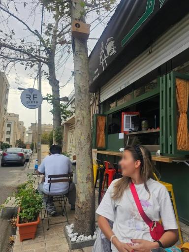 عکس آر اف پیتزا