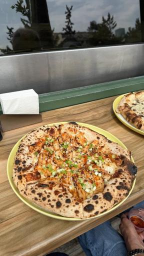 عکس آر اف پیتزا