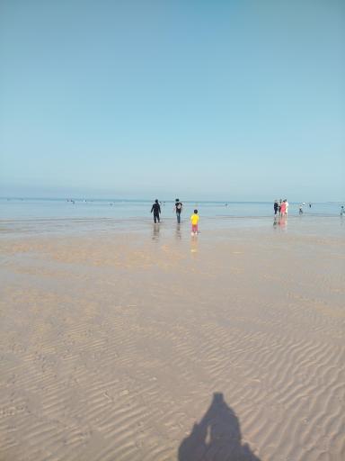 عکس بندر دیلم