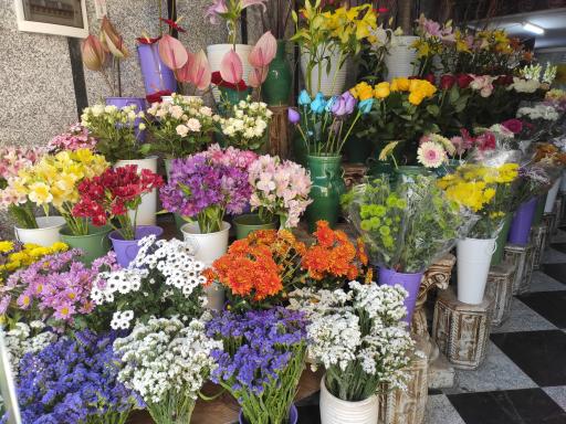 عکس گل فروشی گل نرگس