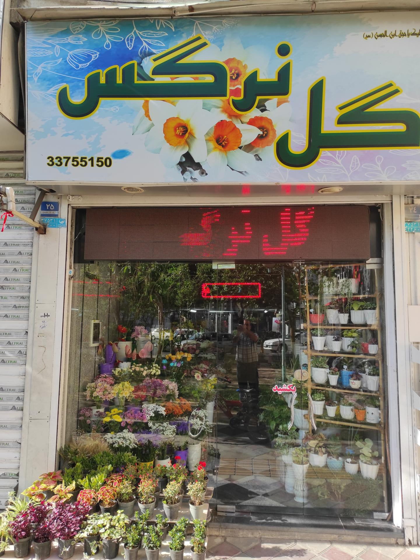 عکس گل فروشی گل نرگس