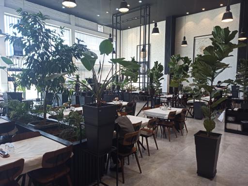 عکس رستوران پلاو