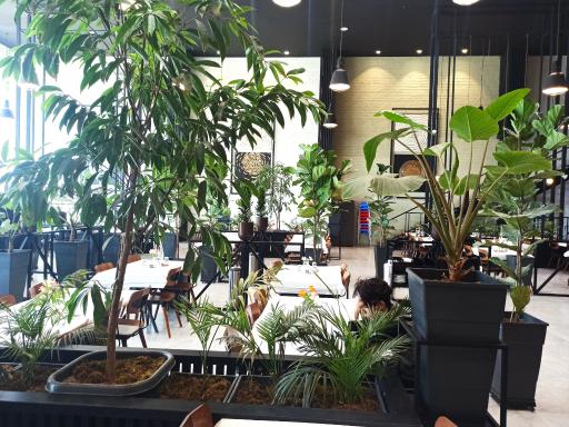 عکس رستوران پلاو