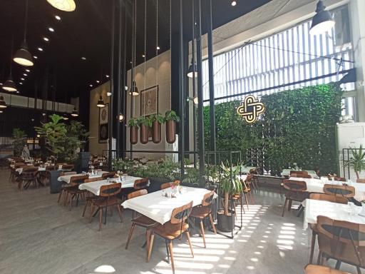 عکس رستوران پلاو