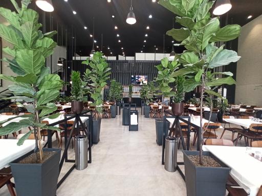 عکس رستوران پلاو