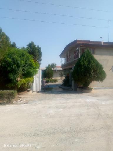 عکس جوجه‌کشی‌طاها