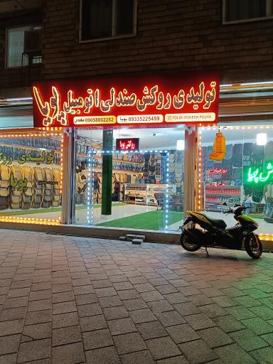 عکس تولیدی روکش اتومبیل پویا 