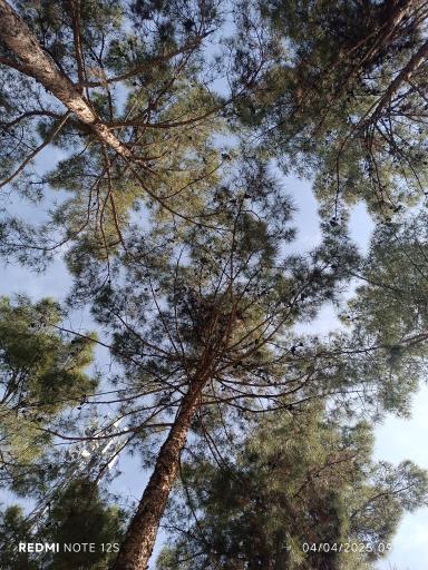 عکس بوستان قدوسی