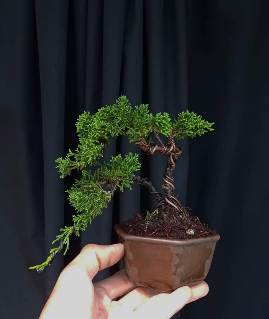 عکس انبار گلکده اکسیژن