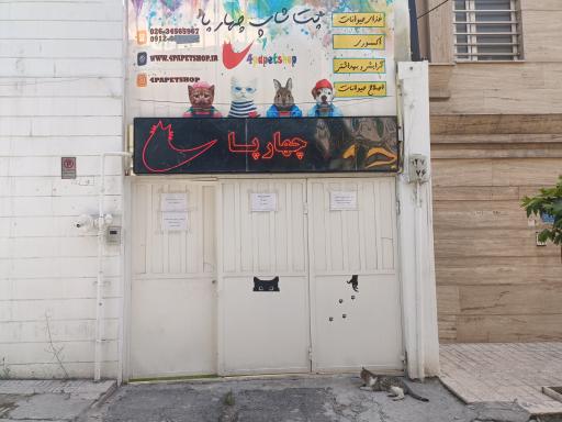 عکس پت شاپ ۴پا