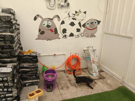 عکس پت شاپ ۴پا