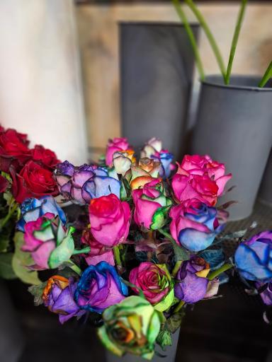 عکس گلفروشی هِدِرا