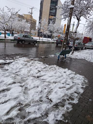 عکس  پارک امت