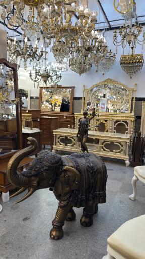 عکس گالری مهدی 
