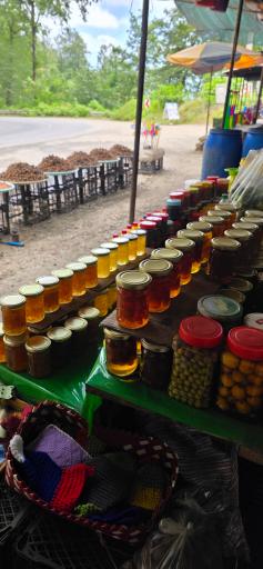 عکس آبشار راشنه