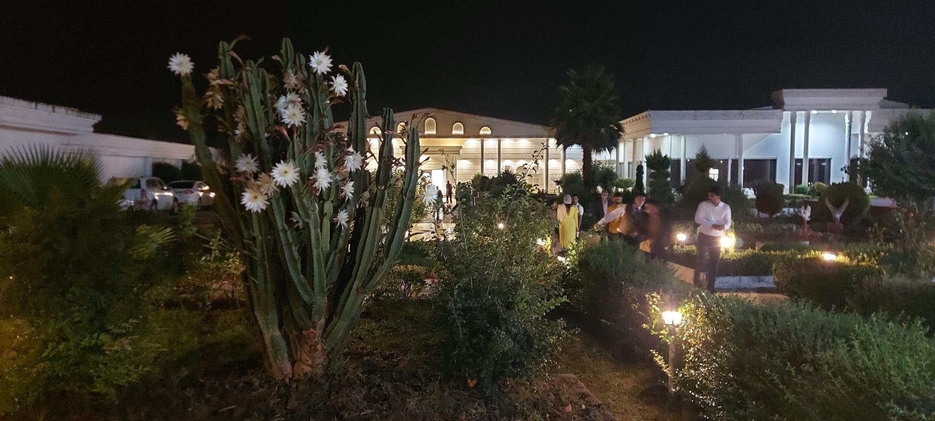 عکس تالار پذیرایی پرسپولیس