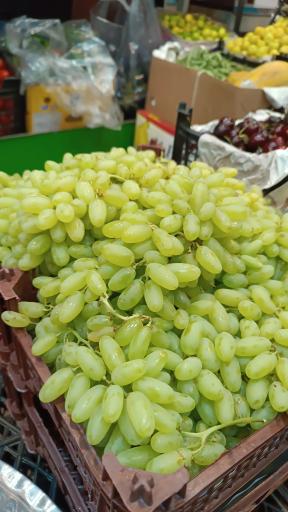 عکس سوپر میوه برکت