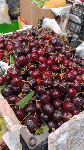 عکس سوپر میوه برکت