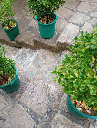 عکس رستوران پیچ شمرون