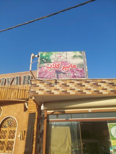 عکس هایپر گلاب