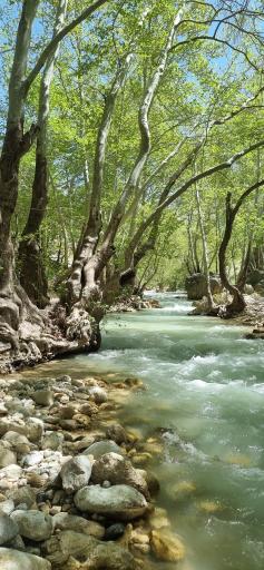 عکس رودخانه تنگ مهریان