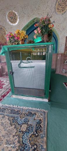 عکس امامزاده ابراهیم
