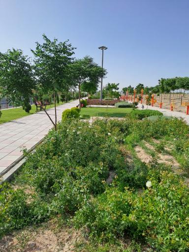 عکس بوستان طبیعت2