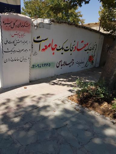 عکس کمپ ترک اعتیاد شکوفه های به گل رسیده