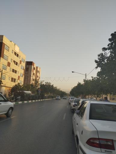 عکس اتو سرویس سادات