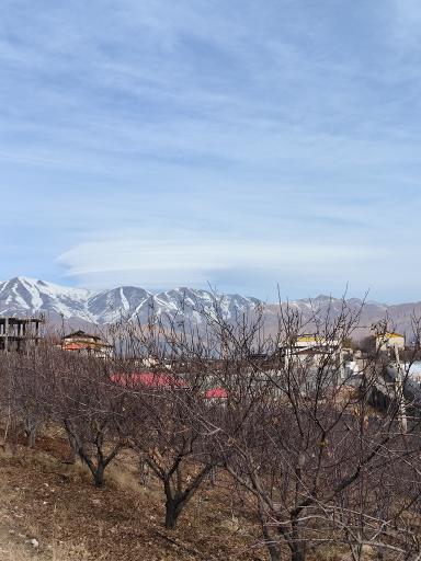 عکس اوچونک