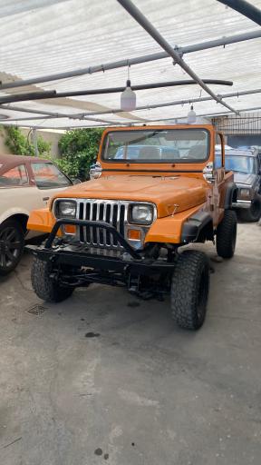 عکس شوی لند