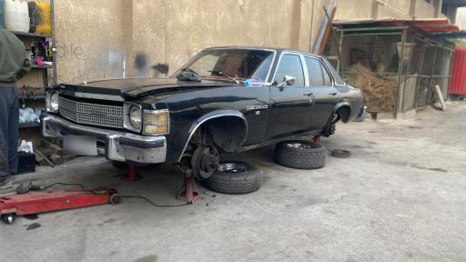 عکس شوی لند