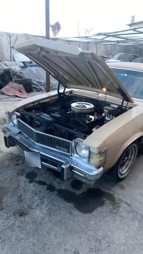 عکس شوی لند