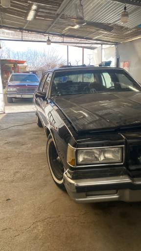 عکس شوی لند