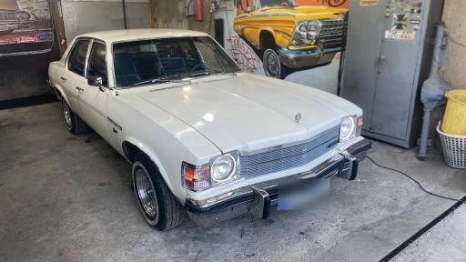 عکس شوی لند