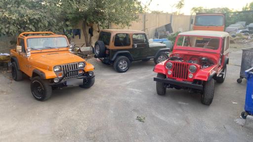 عکس شوی لند