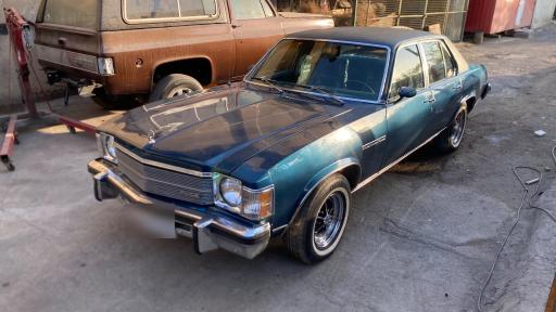 عکس شوی لند