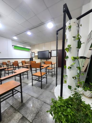 عکس ریاضی لوتوس